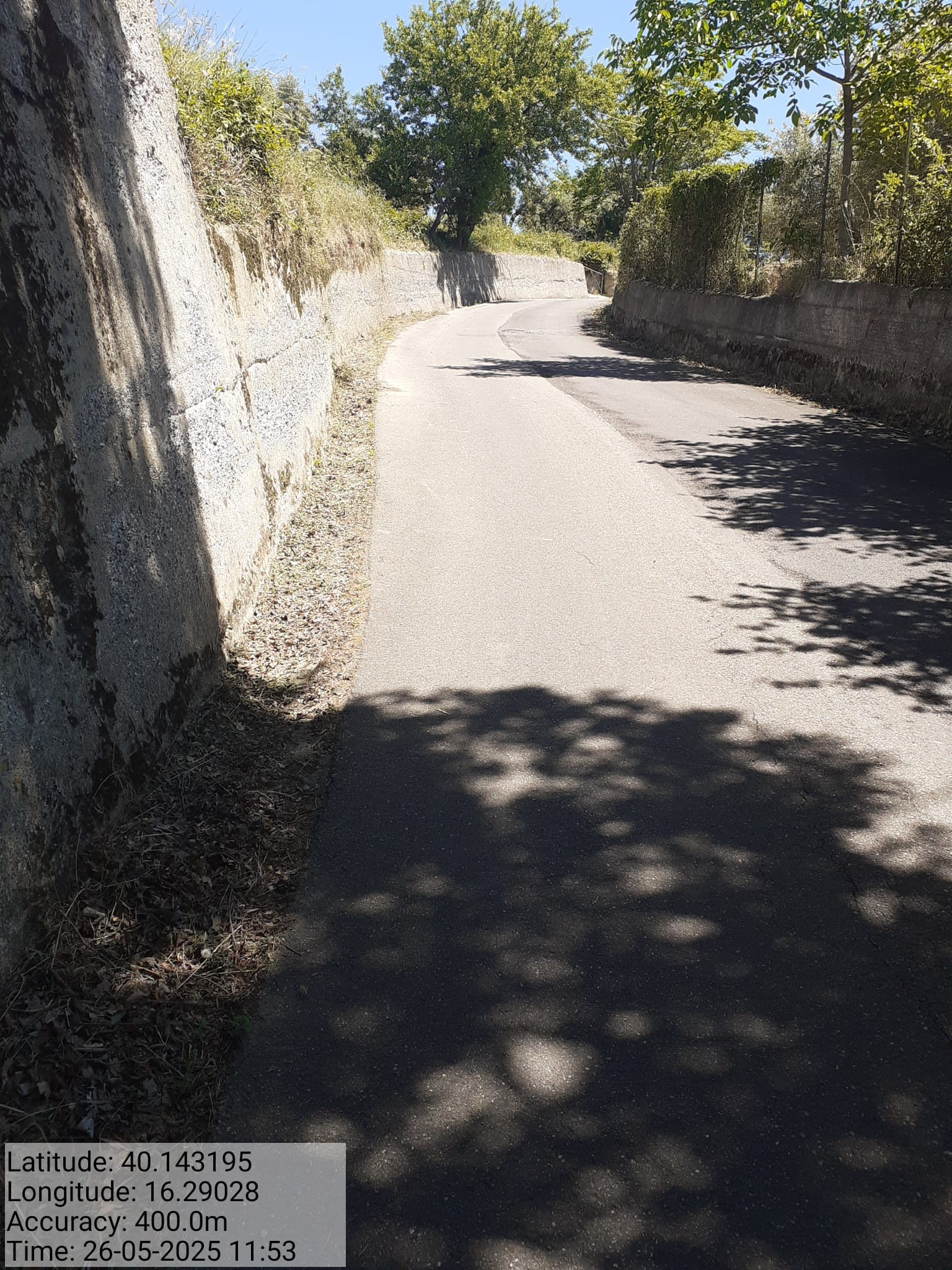 Galleria Fotografica Immagine