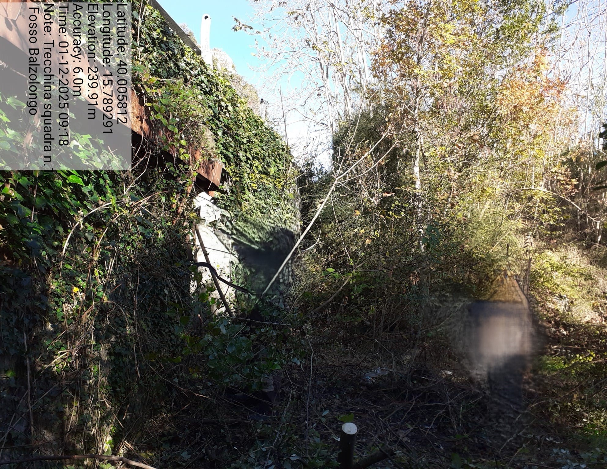 Galleria Fotografica Immagine