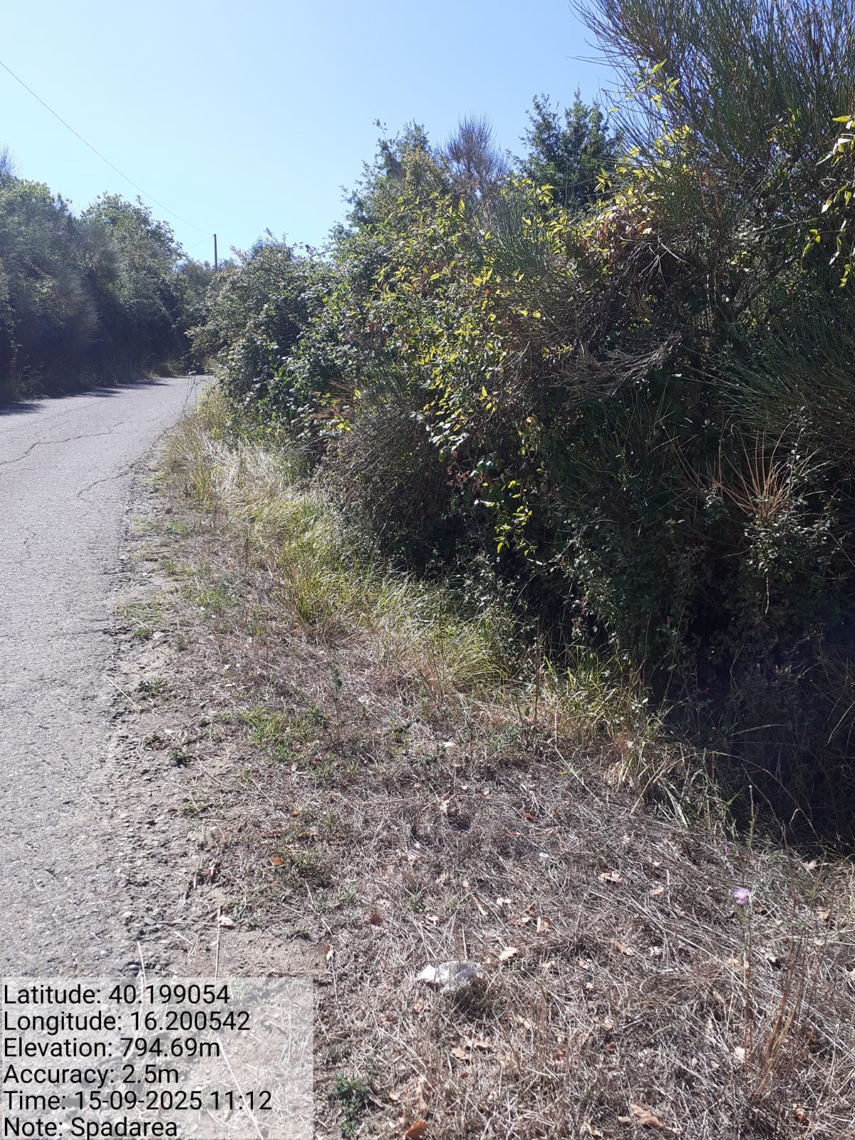 Galleria Fotografica Immagine