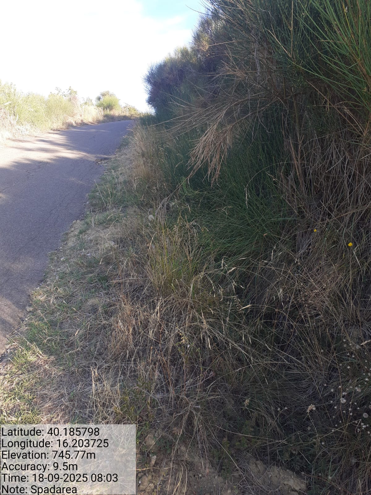 Galleria Fotografica Immagine