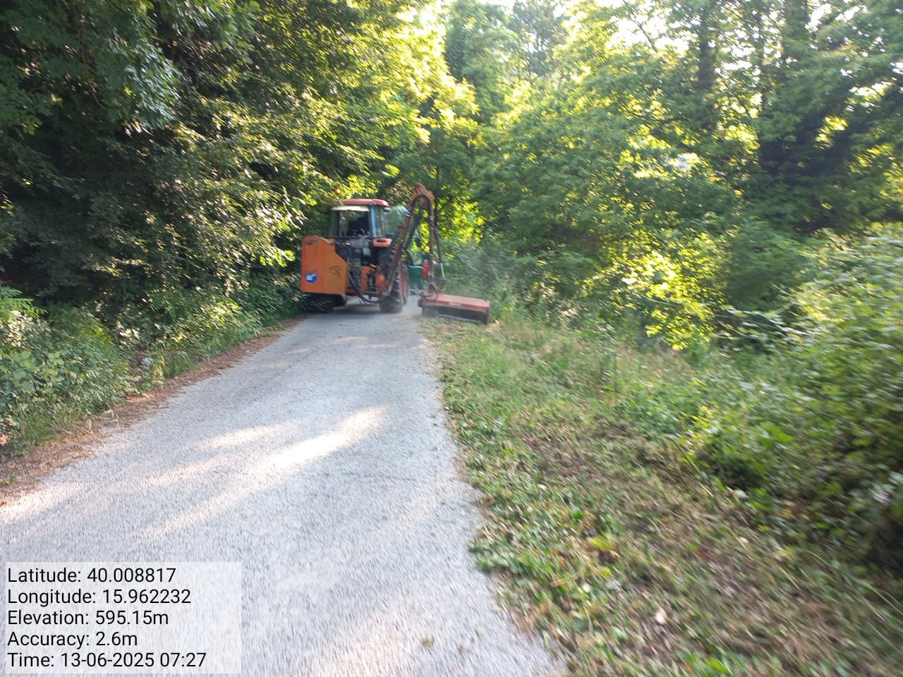 Galleria Fotografica Immagine