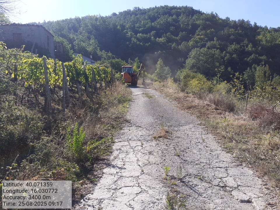 Galleria Fotografica Immagine