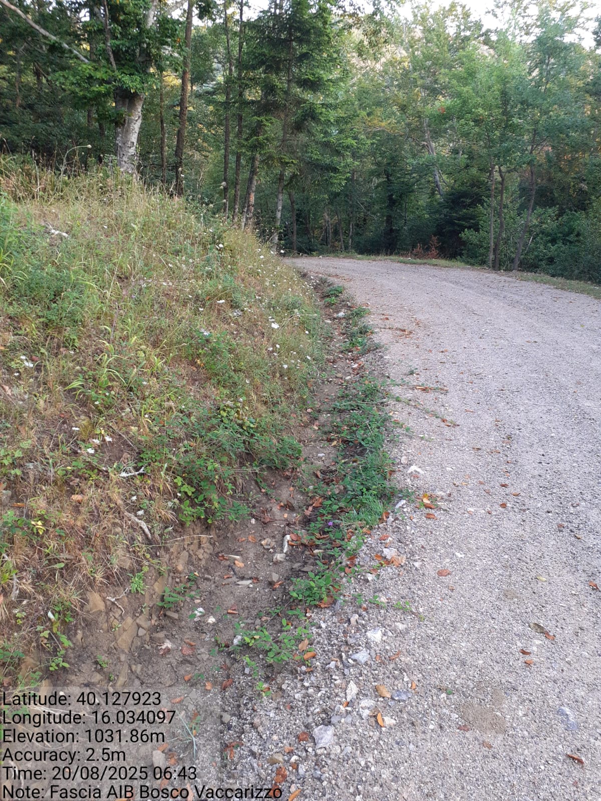 Galleria Fotografica Immagine