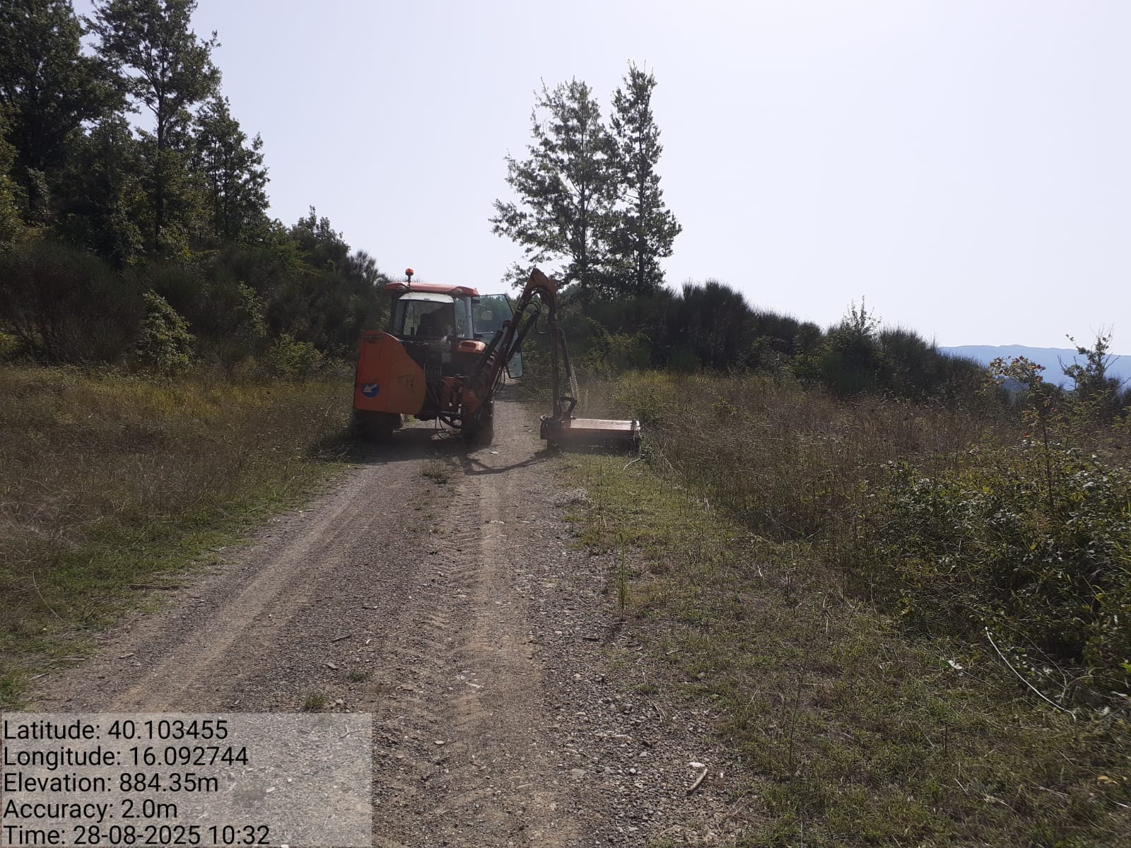 Galleria Fotografica Immagine