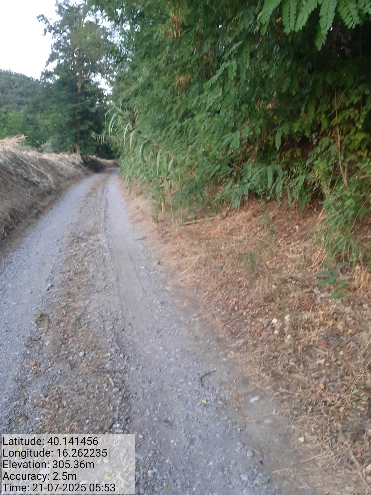 Galleria Fotografica Immagine