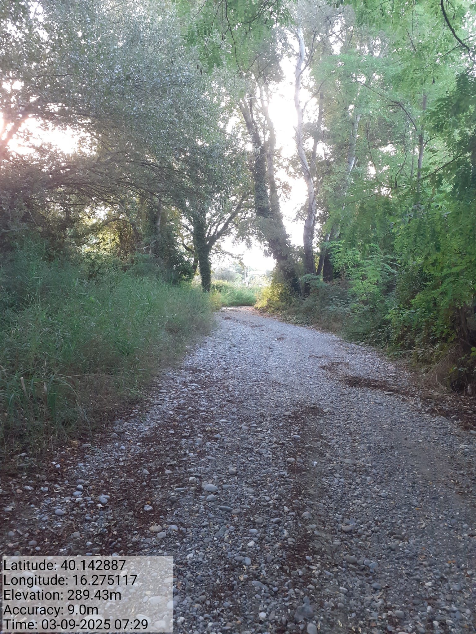 Galleria Fotografica Immagine