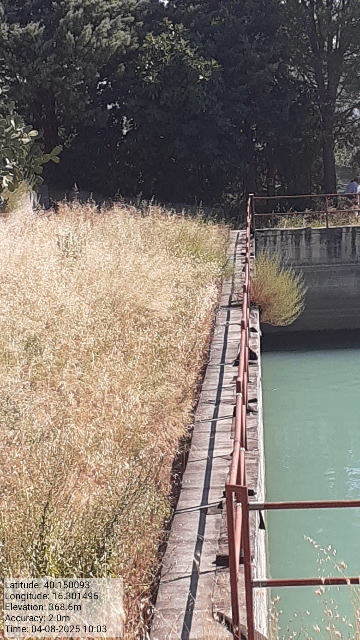 Galleria Fotografica Immagine