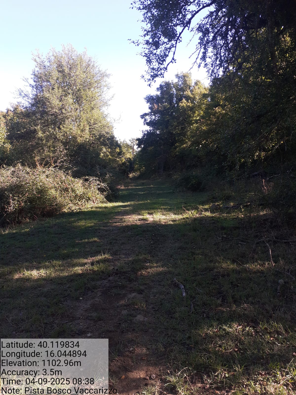 Galleria Fotografica Immagine