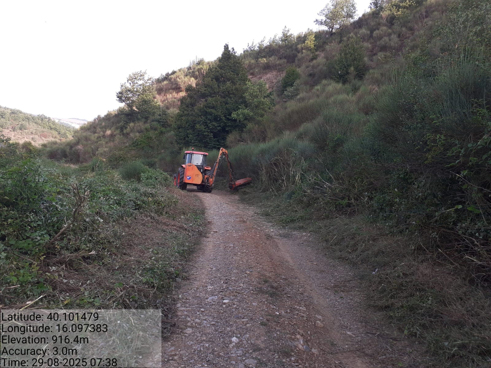 Galleria Fotografica Immagine