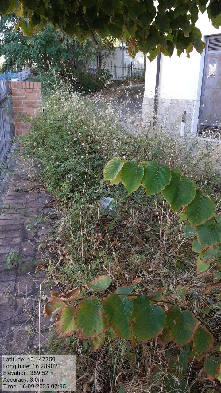 Galleria Fotografica Immagine