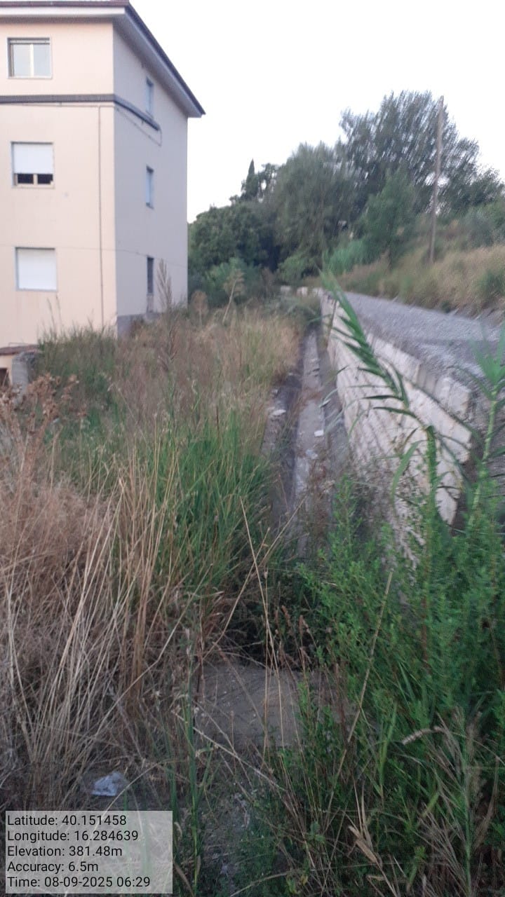 Galleria Fotografica Immagine