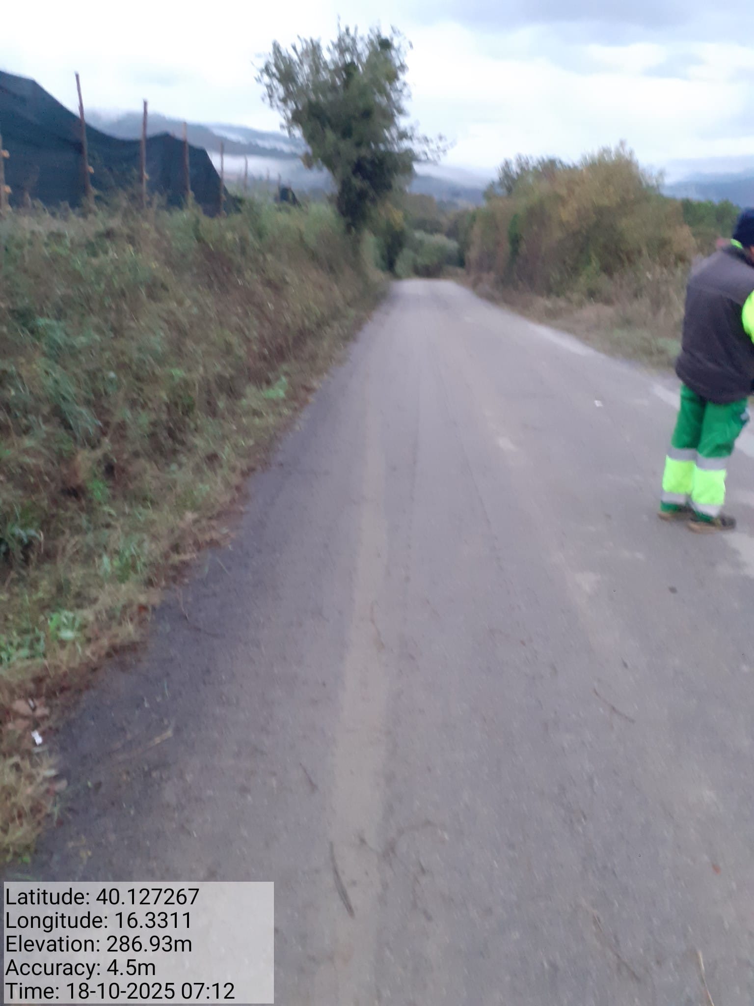 Galleria Fotografica Immagine