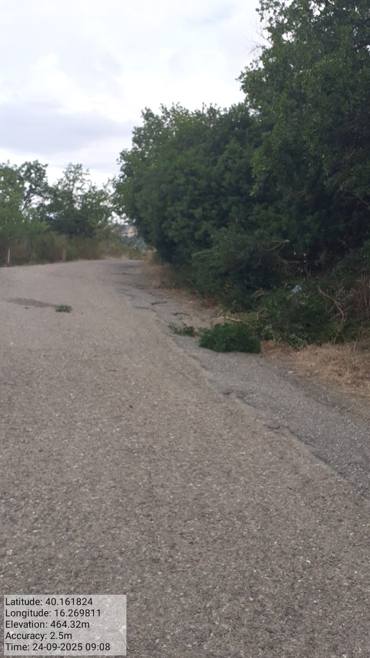 Galleria Fotografica Immagine