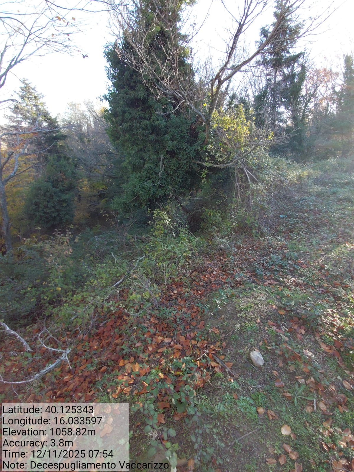 Galleria Fotografica Immagine