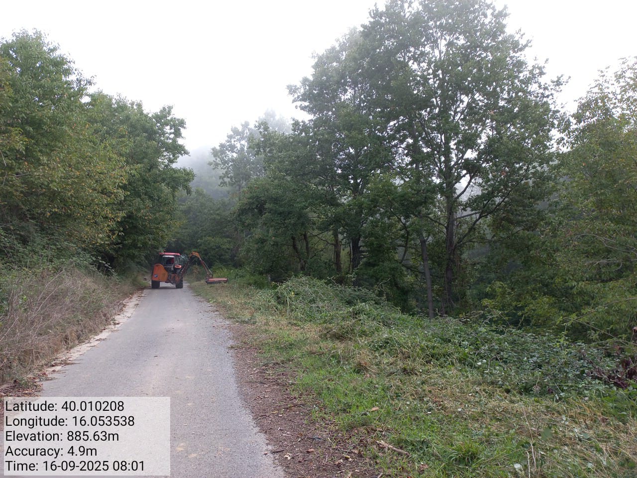 Galleria Fotografica Immagine