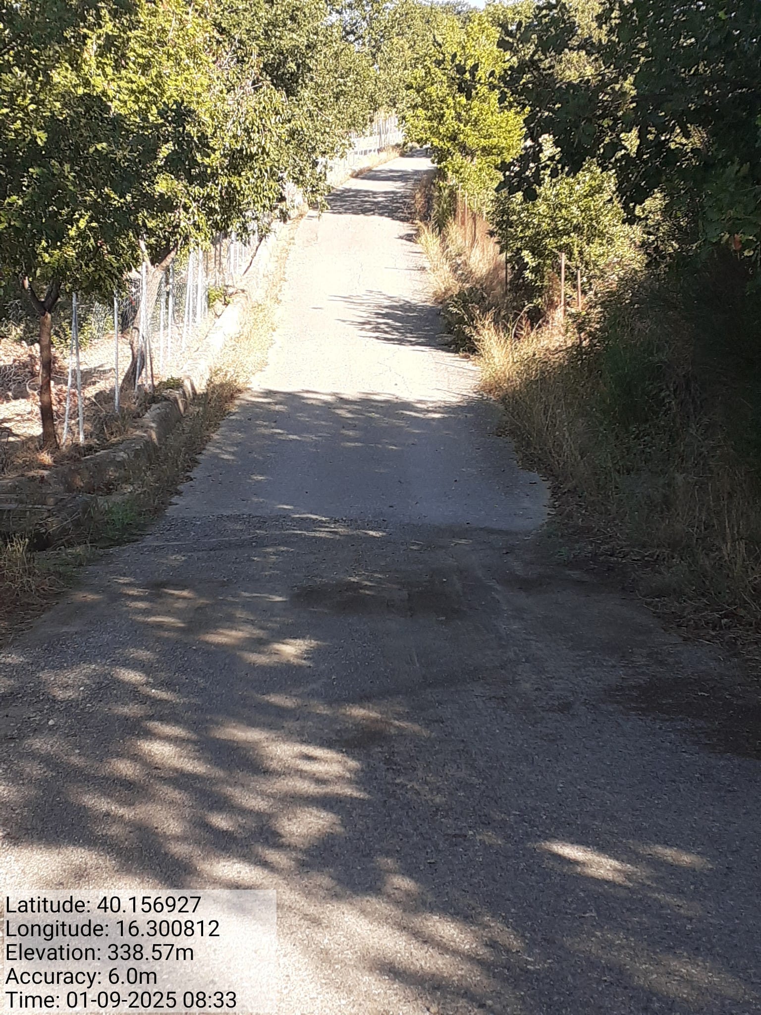 Galleria Fotografica Immagine