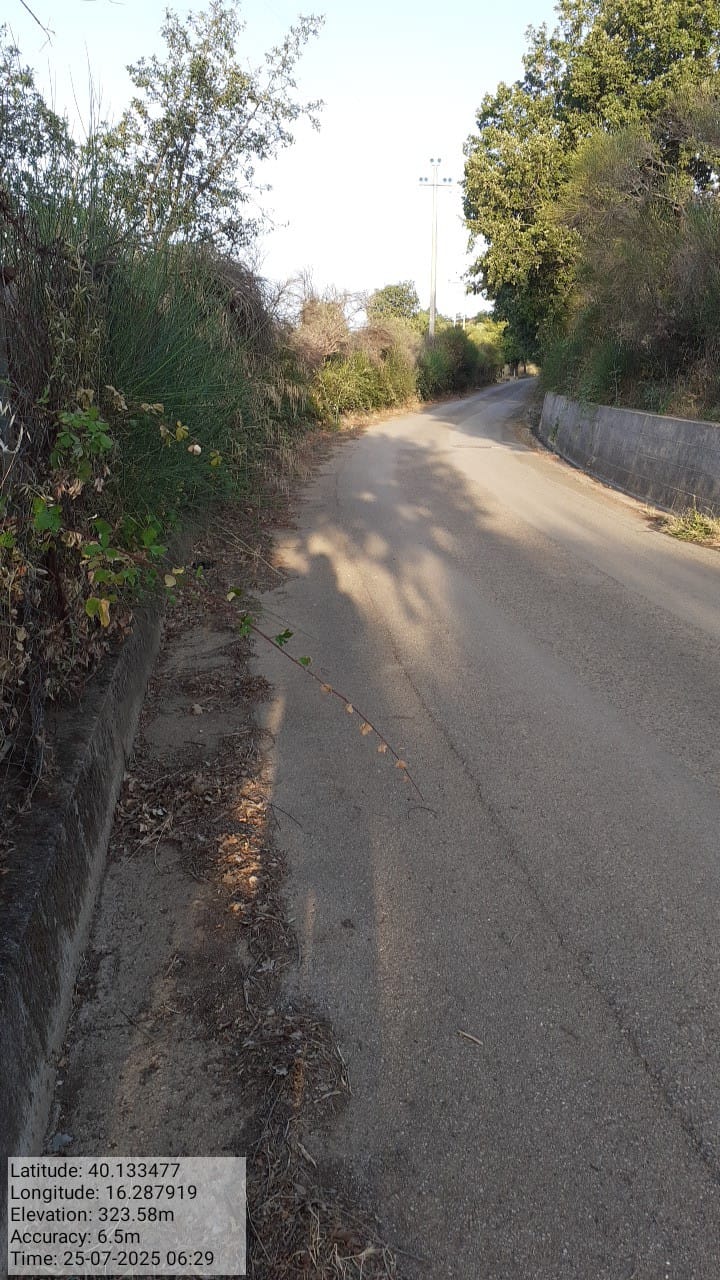 Galleria Fotografica Immagine