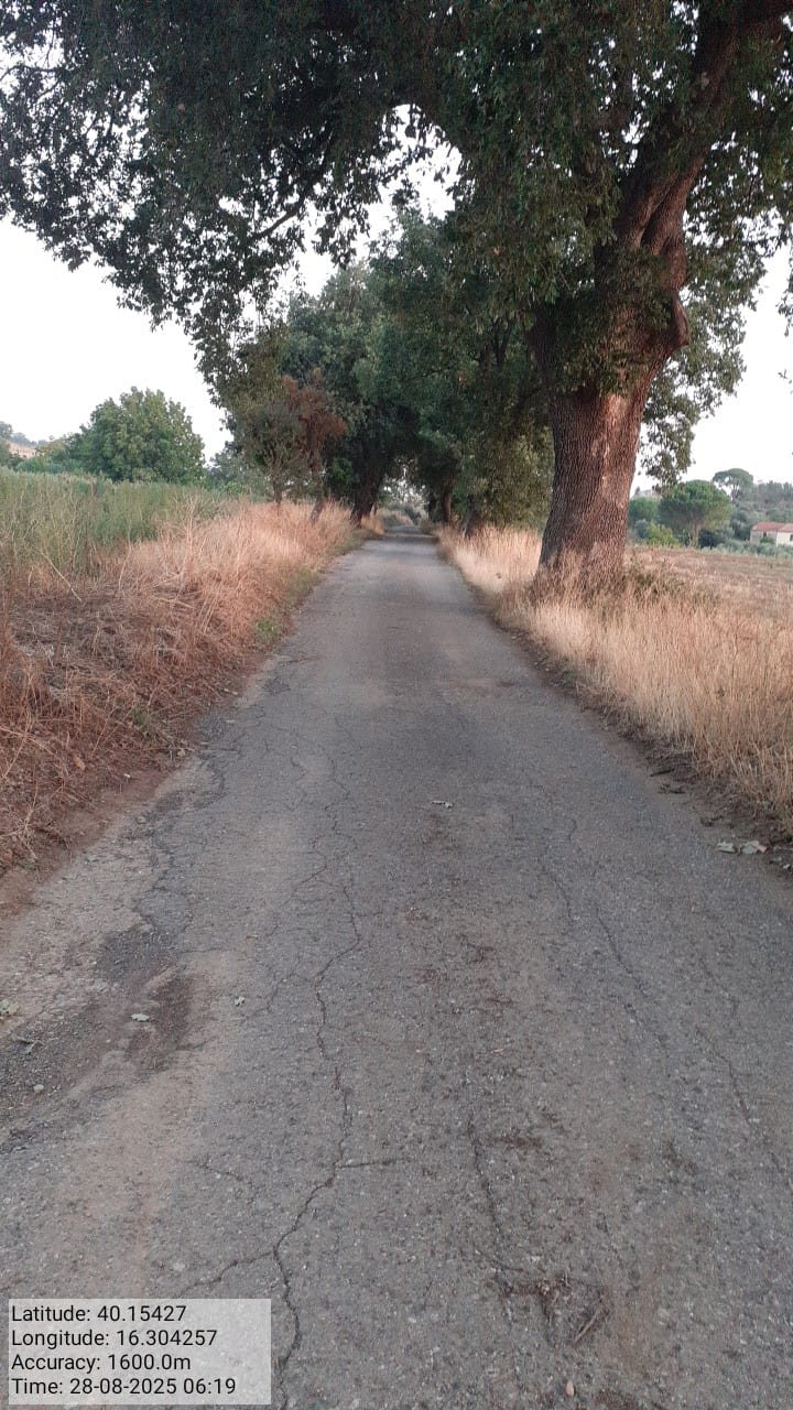 Galleria Fotografica Immagine