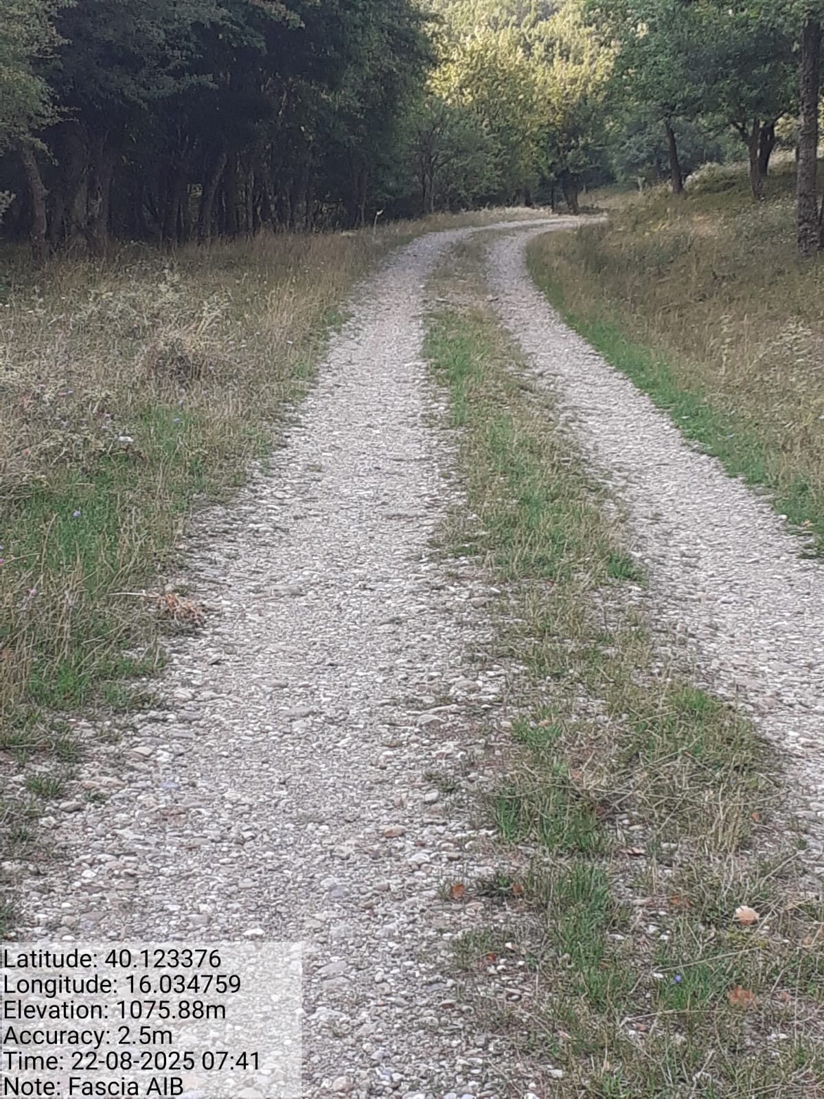 Galleria Fotografica Immagine