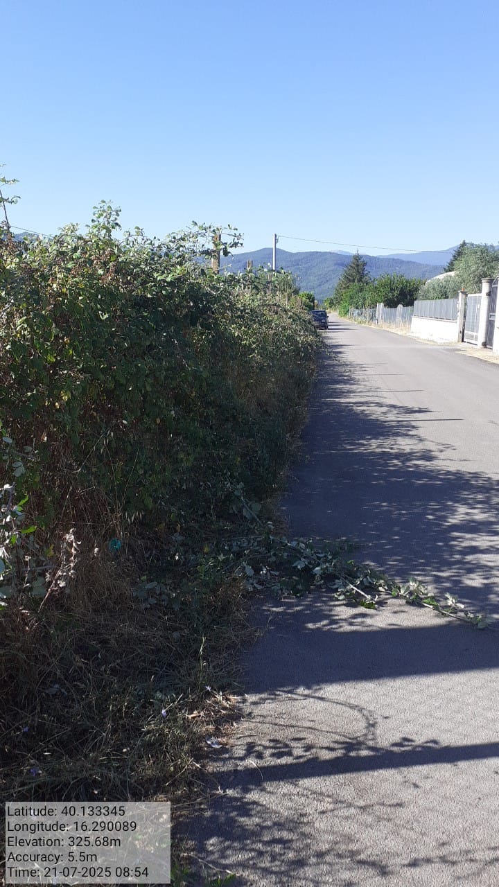 Galleria Fotografica Immagine