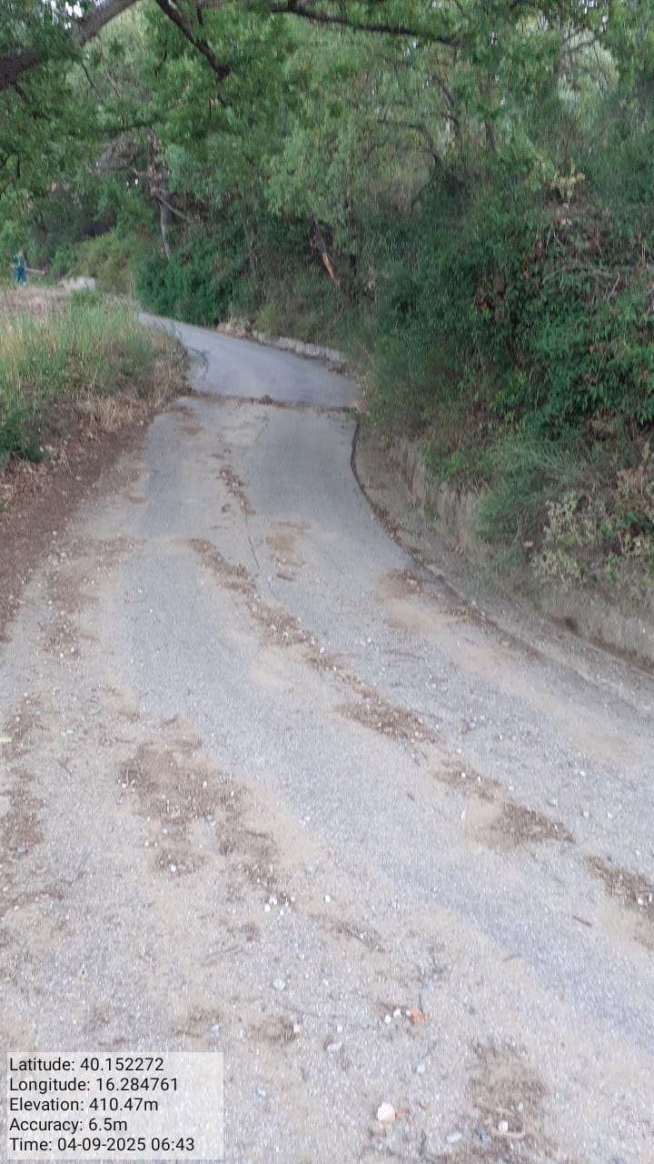 Galleria Fotografica Immagine