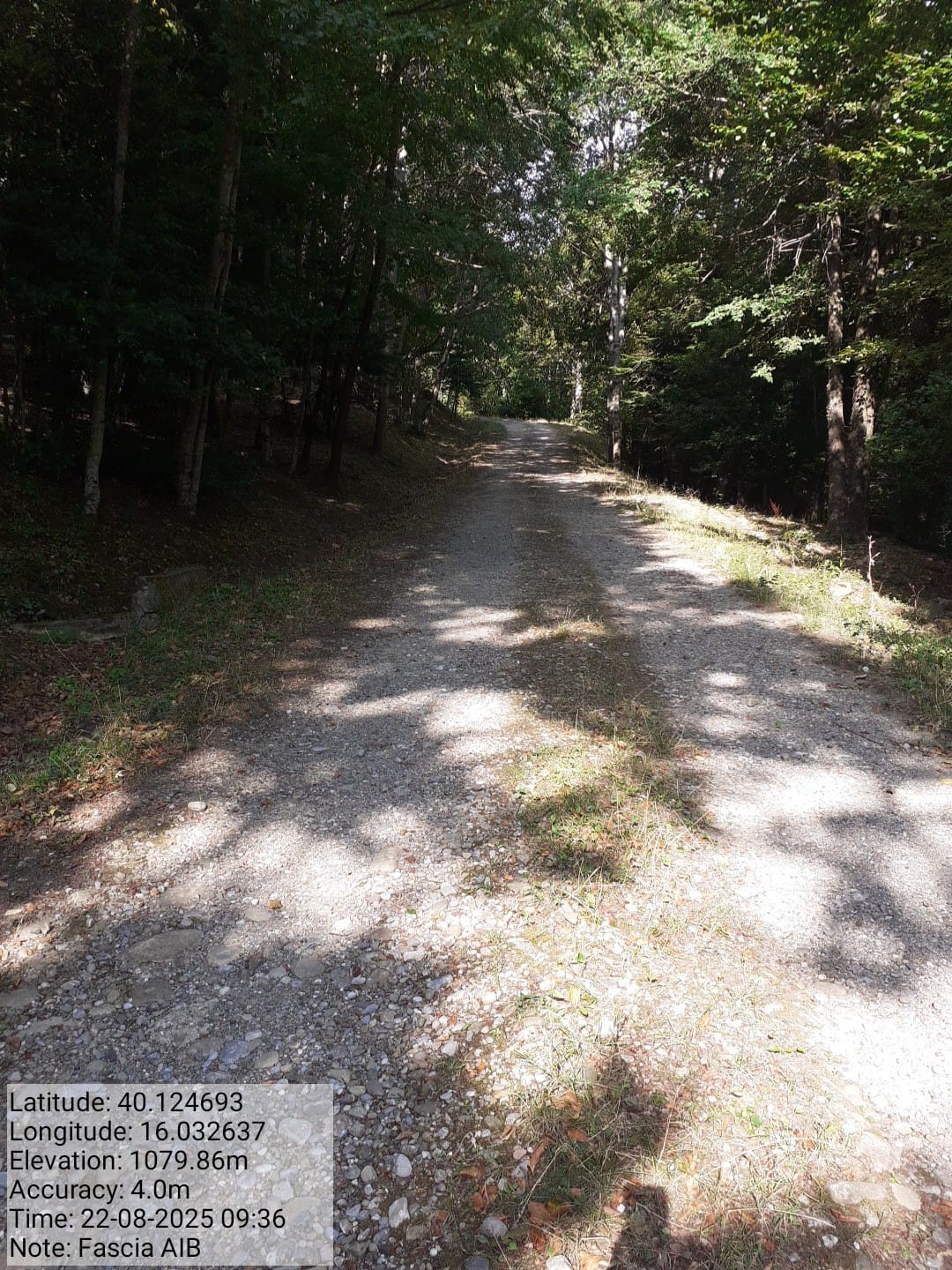 Galleria Fotografica Immagine