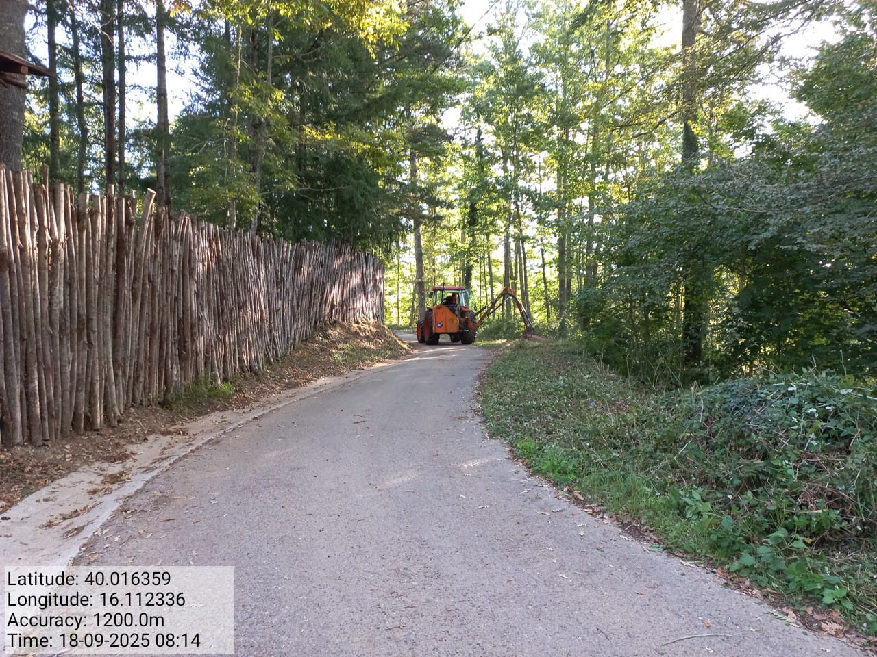 Galleria Fotografica Immagine