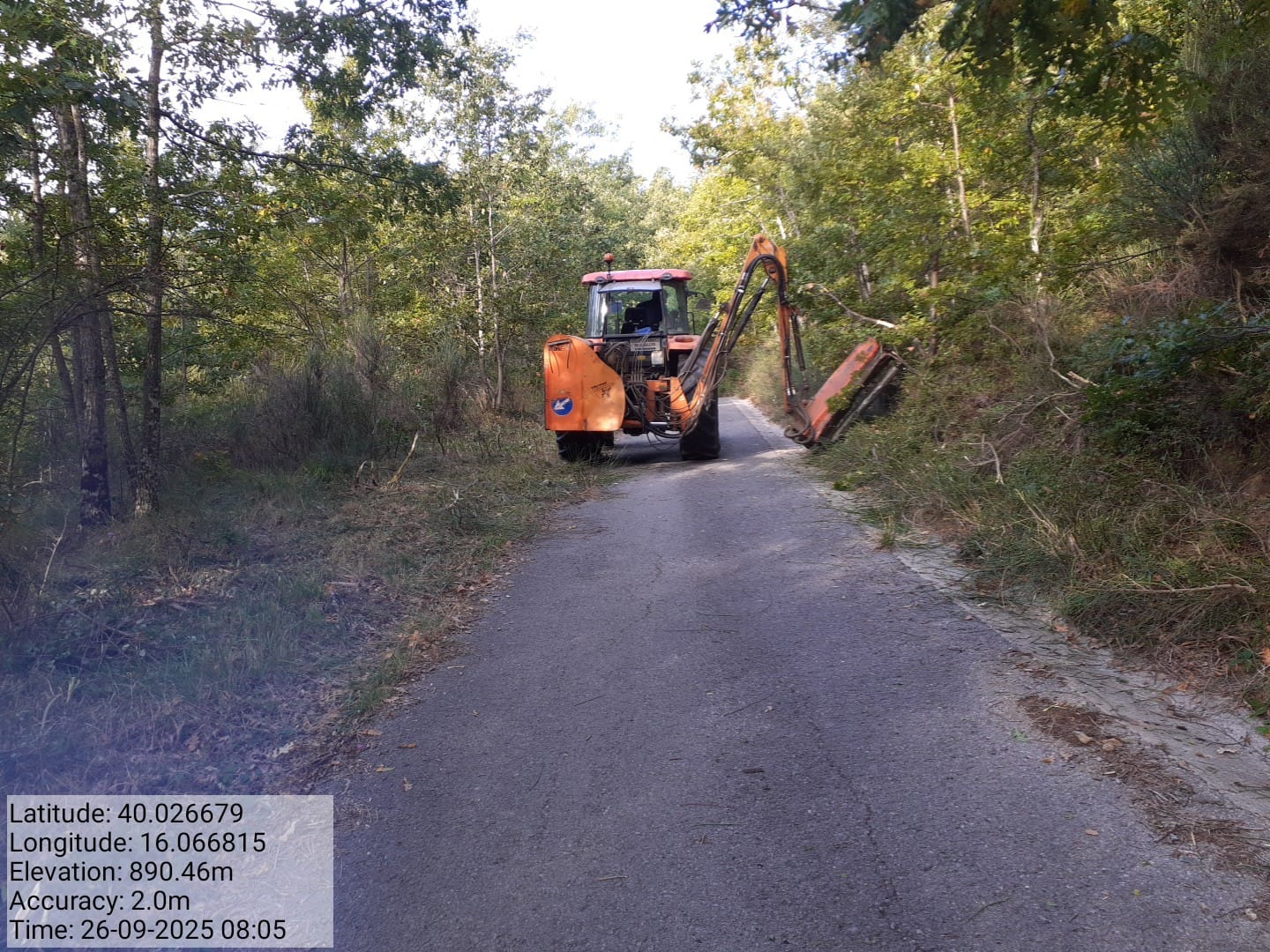 Galleria Fotografica Immagine