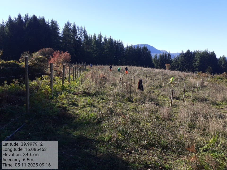 Galleria Fotografica Immagine