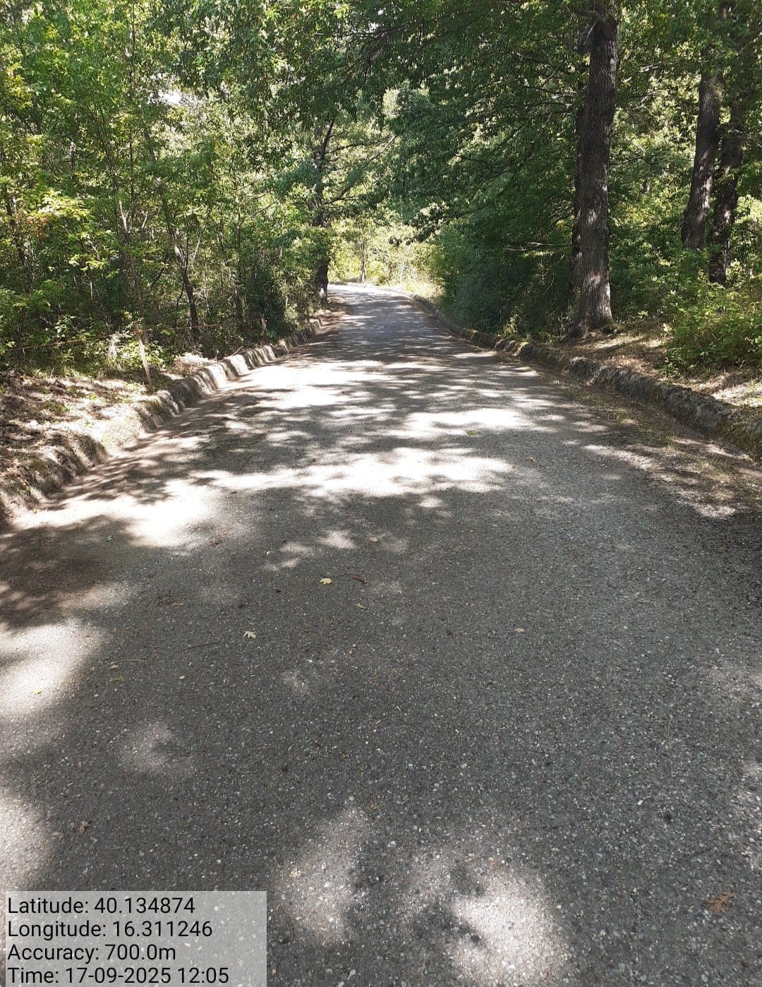 Galleria Fotografica Immagine