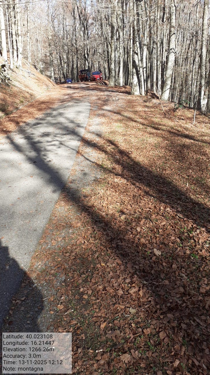 Galleria Fotografica Immagine