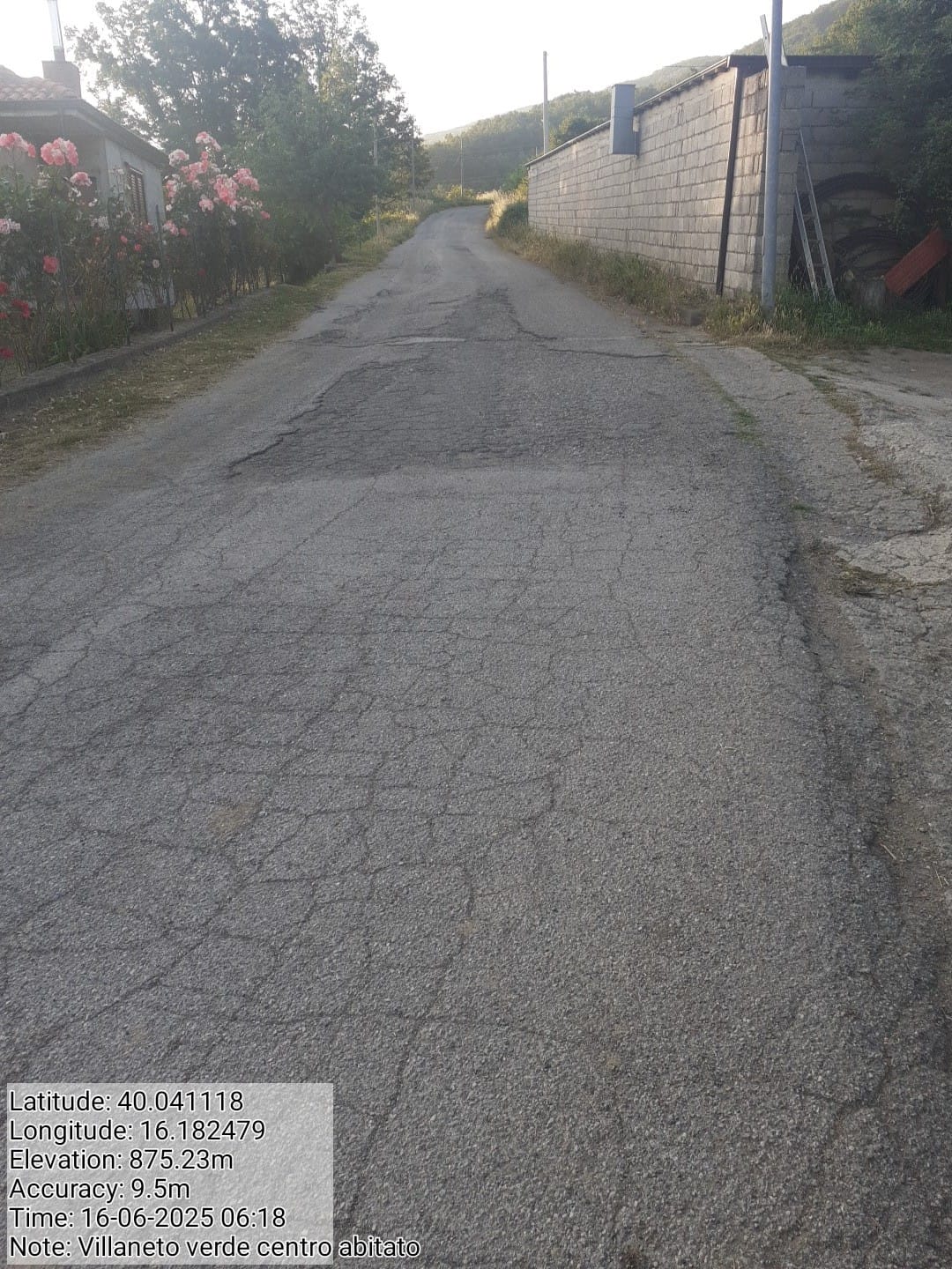 Galleria Fotografica Immagine