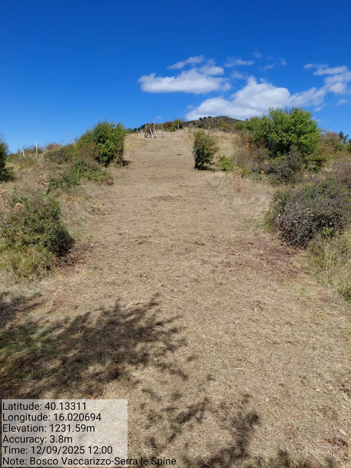 Galleria Fotografica Immagine