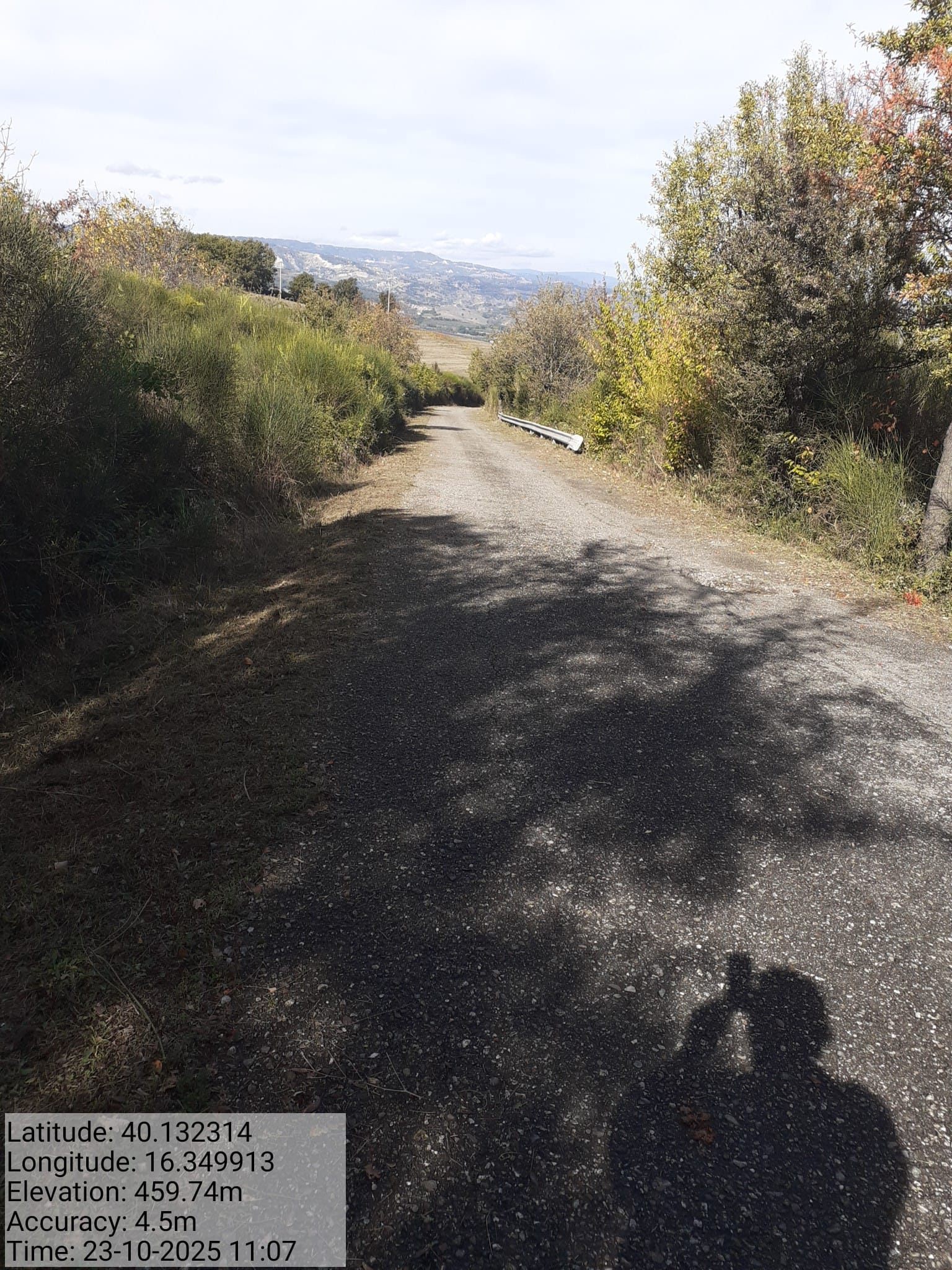 Galleria Fotografica Immagine