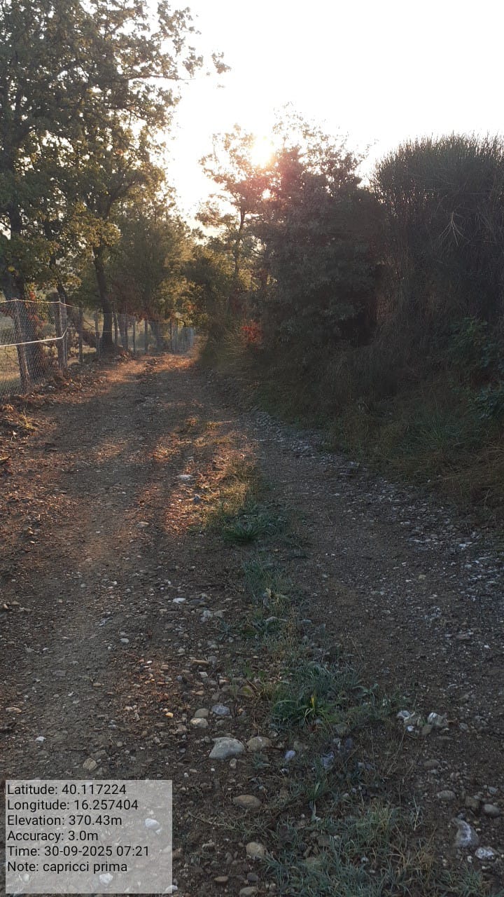 Galleria Fotografica Immagine