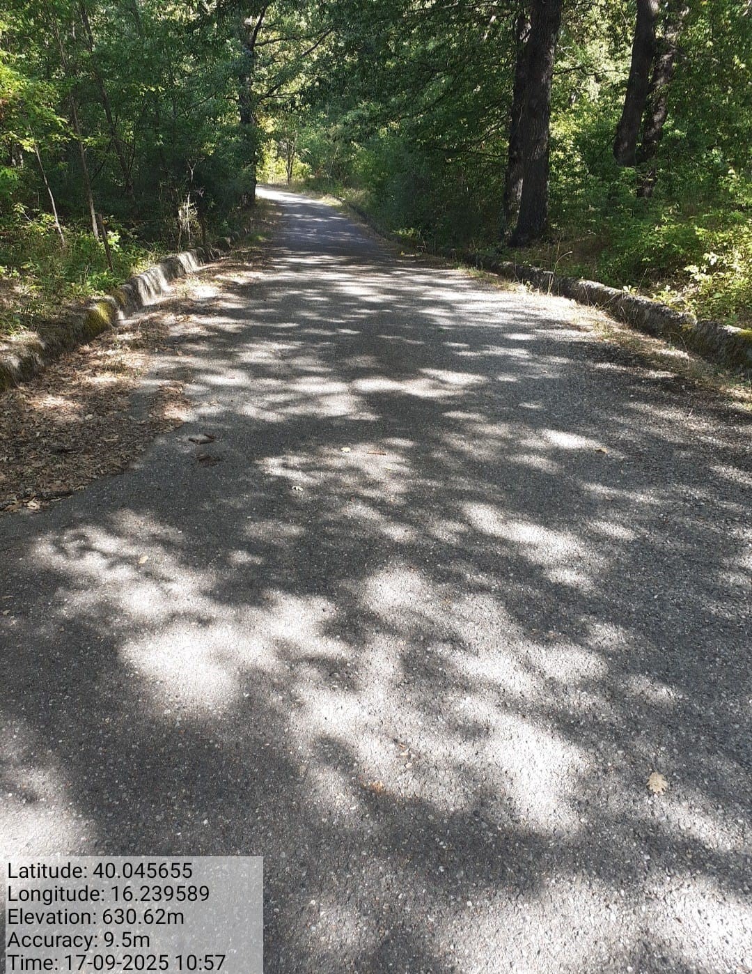 Galleria Fotografica Immagine