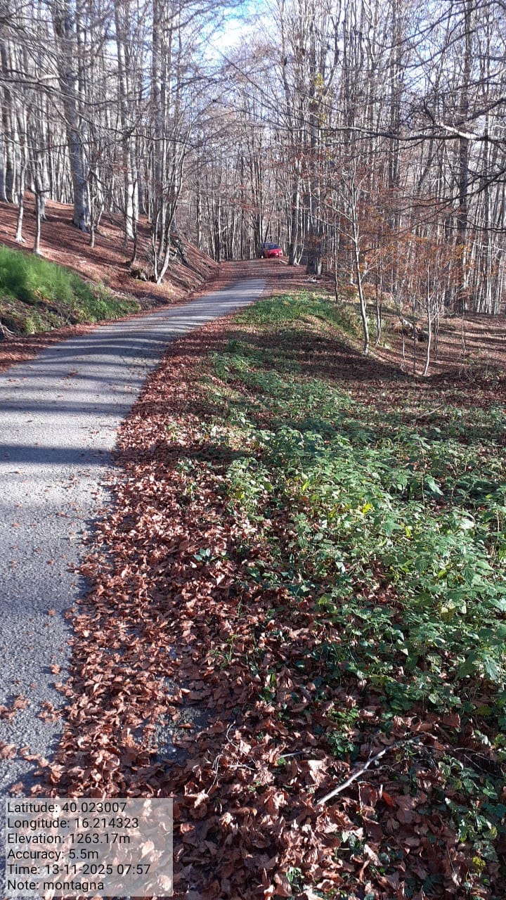 Galleria Fotografica Immagine