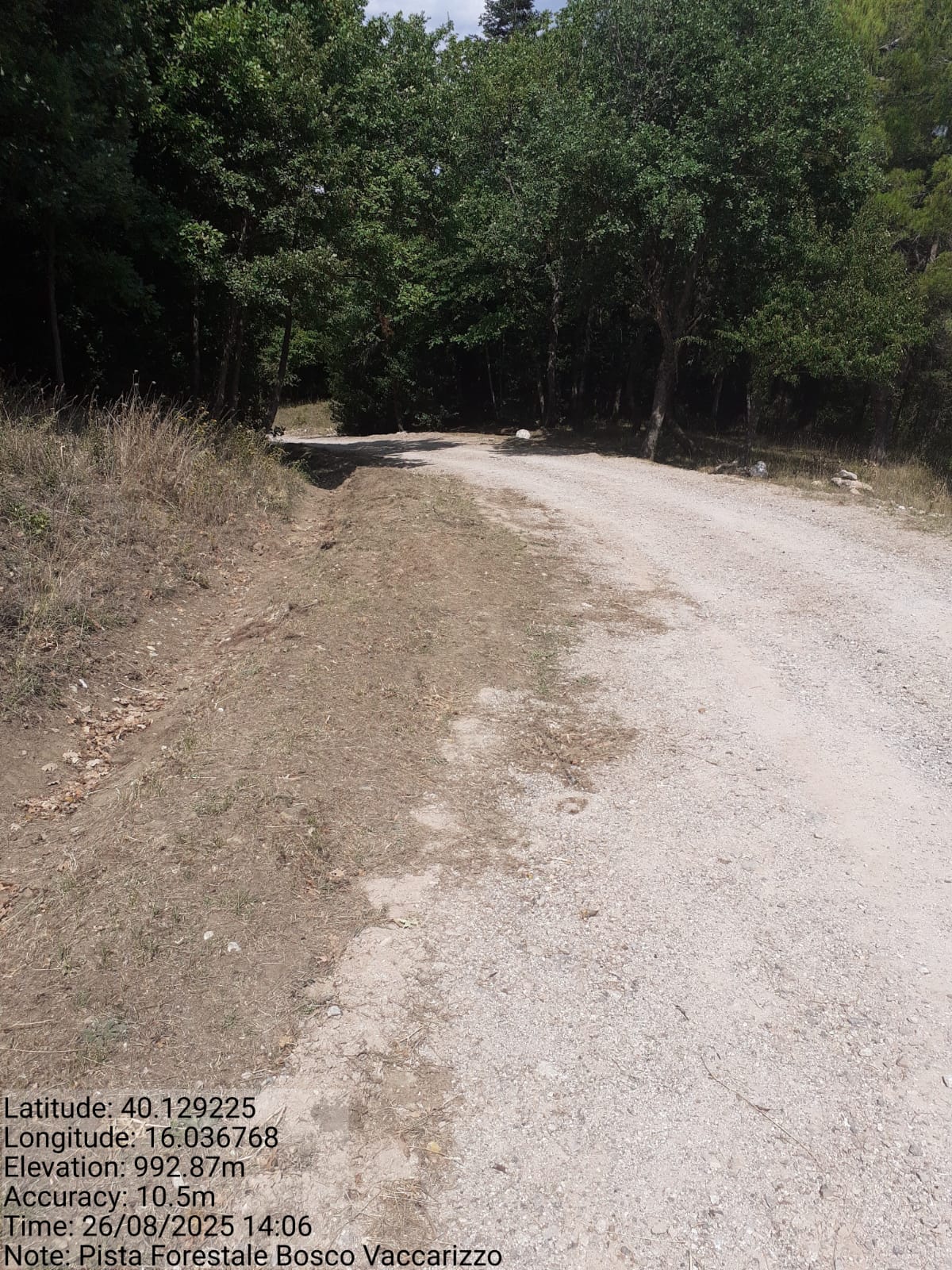 Galleria Fotografica Immagine