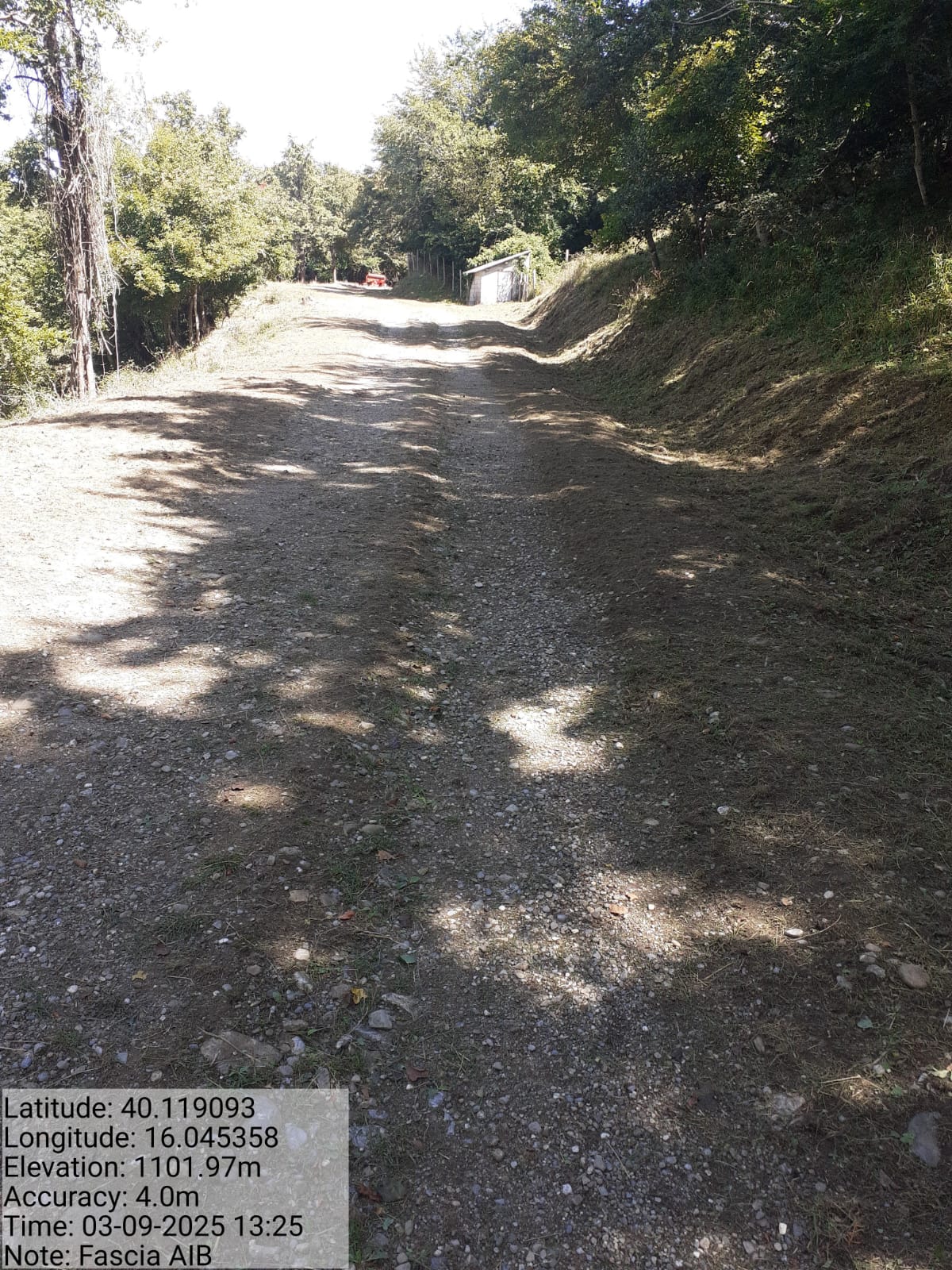 Galleria Fotografica Immagine