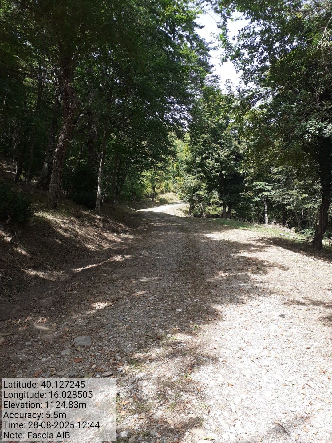 Galleria Fotografica Immagine