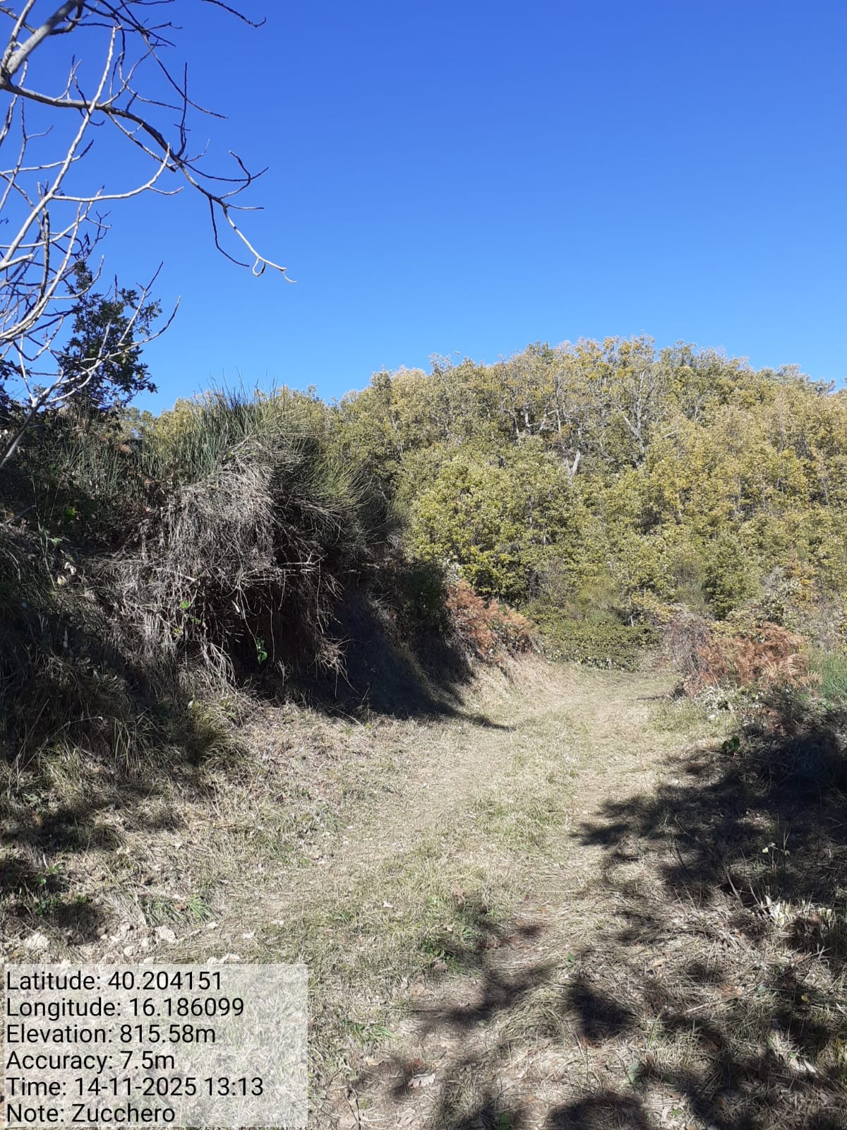 Galleria Fotografica Immagine