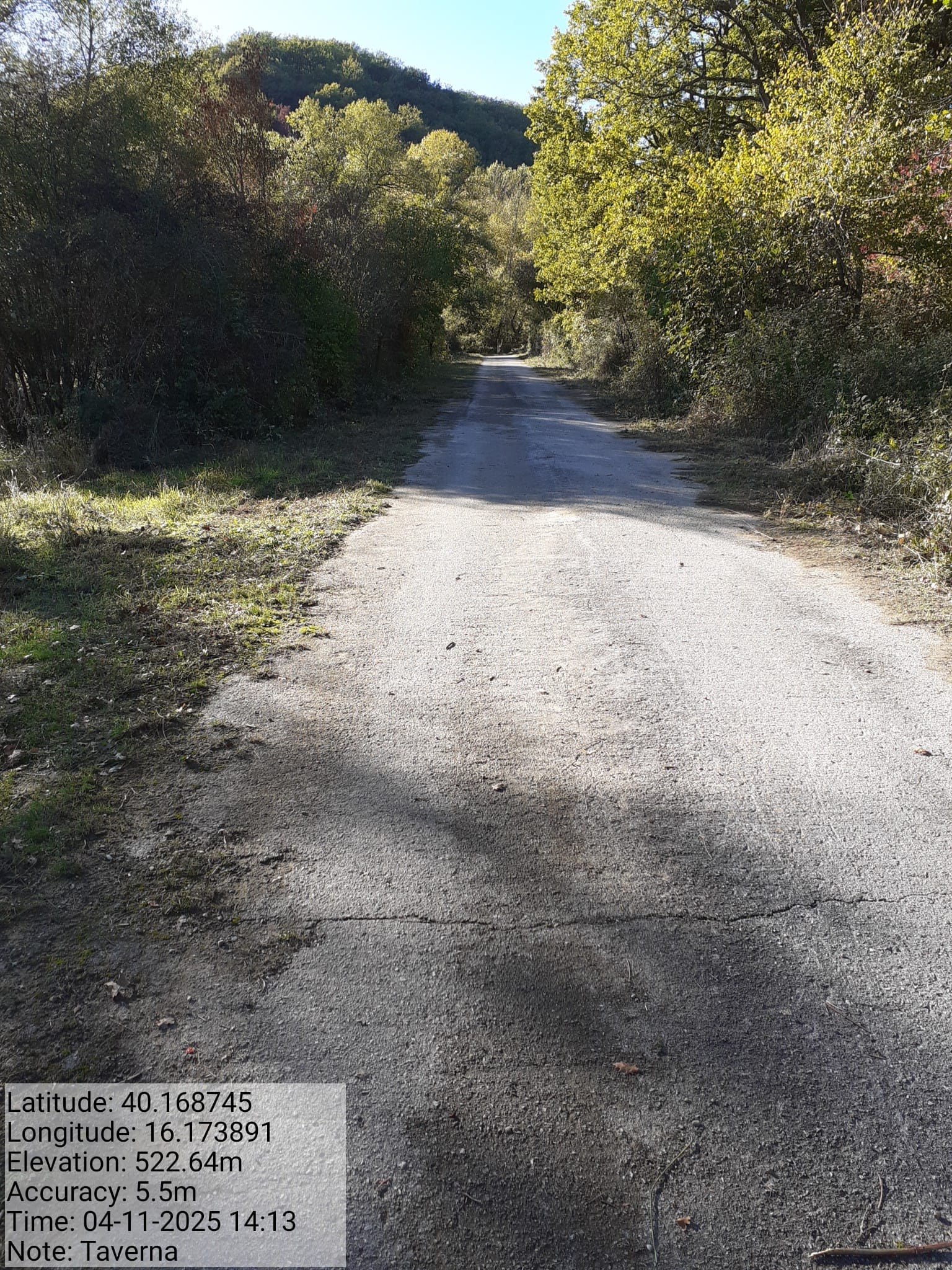 Galleria Fotografica Immagine