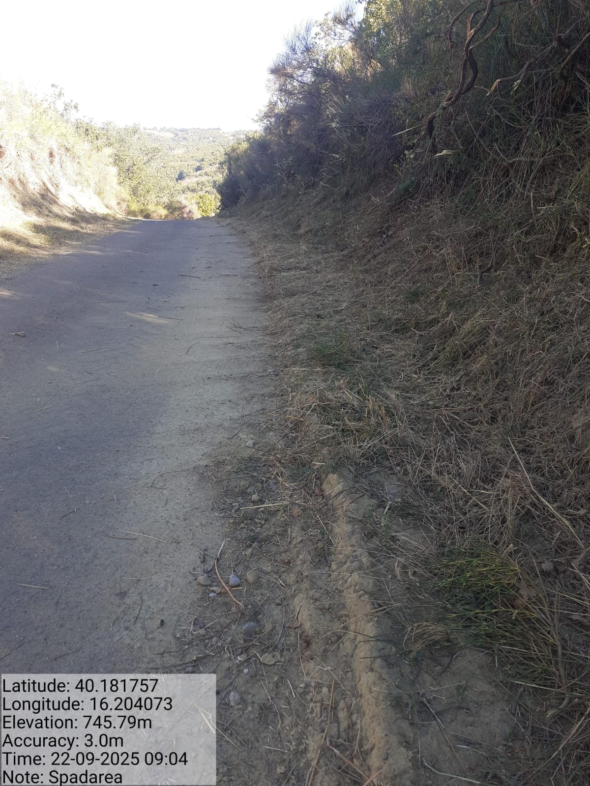 Galleria Fotografica Immagine