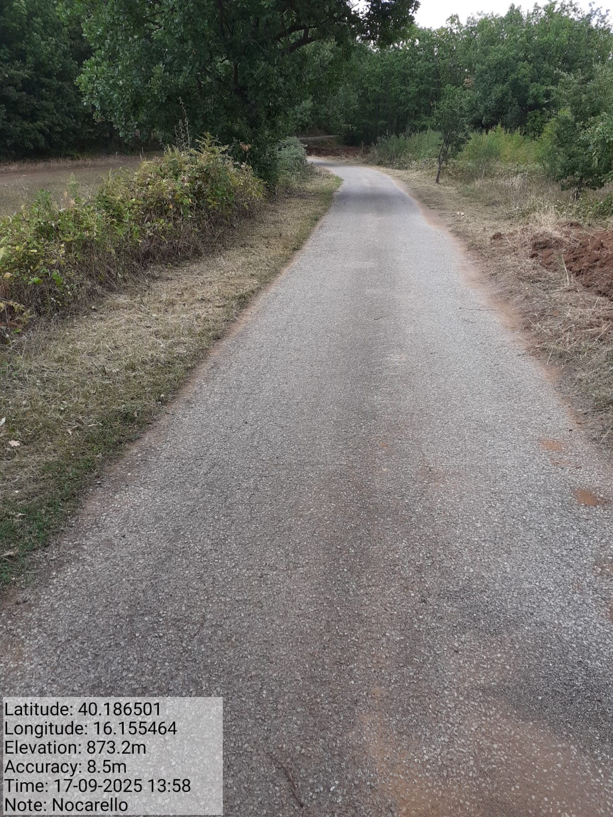 Galleria Fotografica Immagine