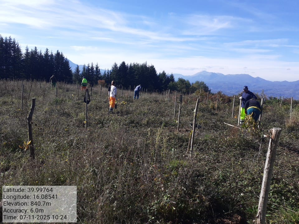 Galleria Fotografica Immagine