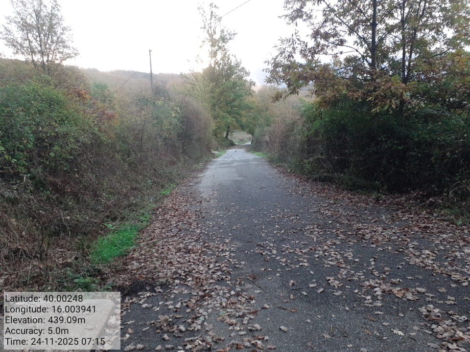 Galleria Fotografica Immagine