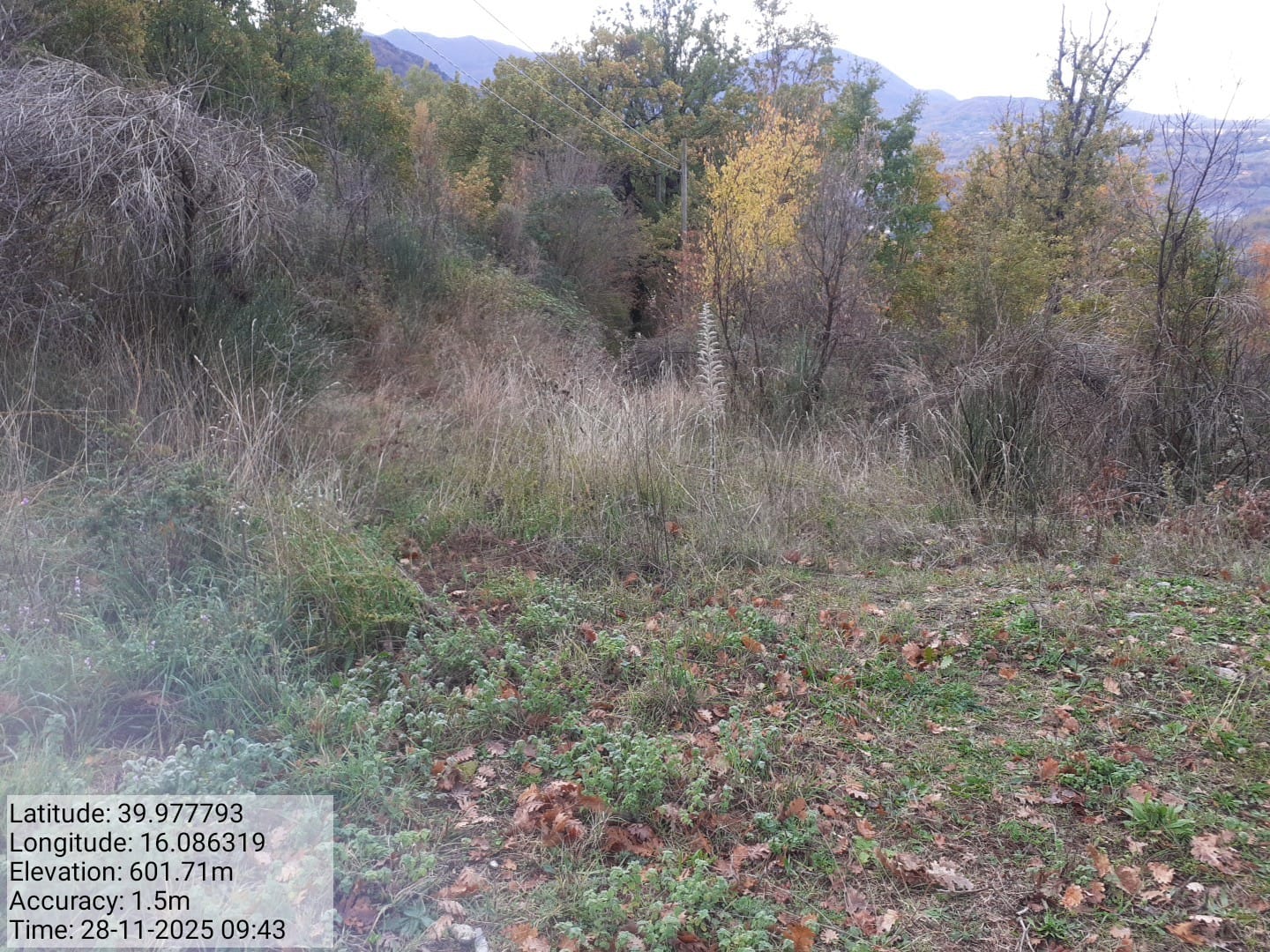 Galleria Fotografica Immagine