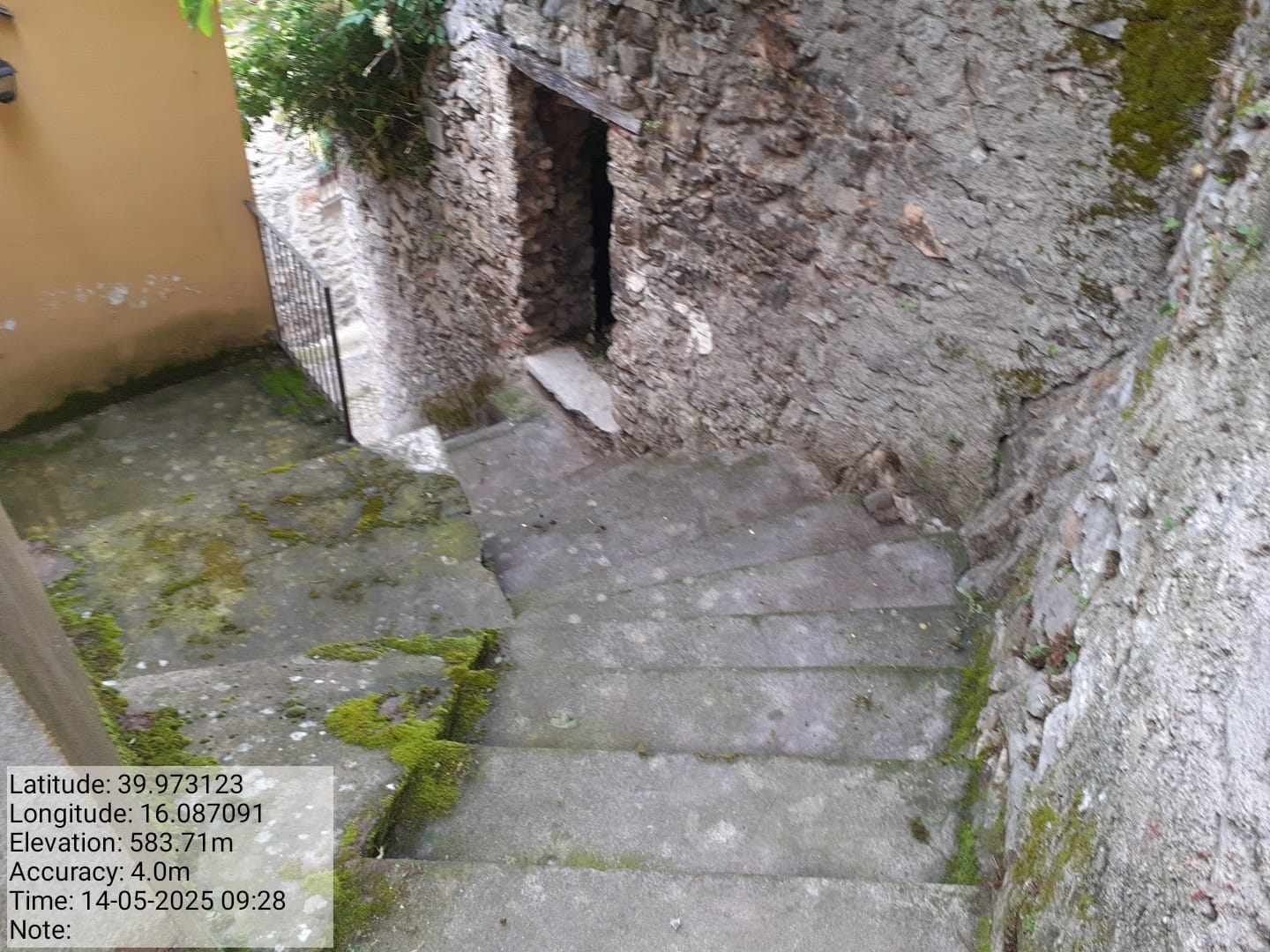 Galleria Fotografica Immagine