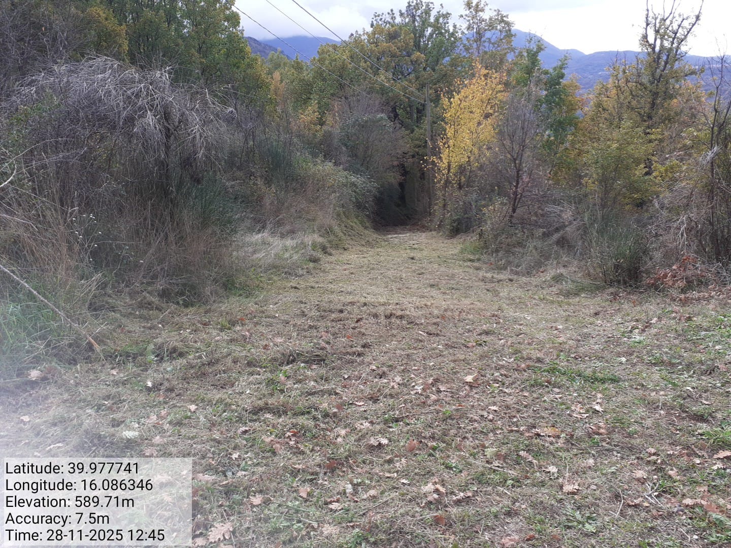 Galleria Fotografica Immagine