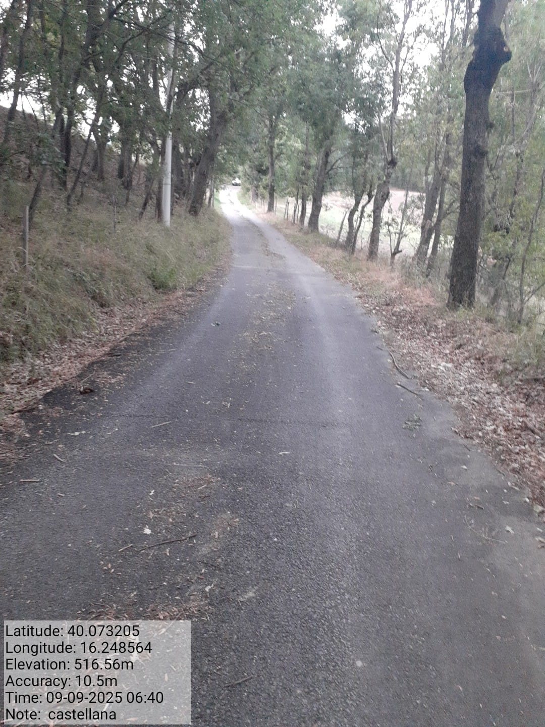 Galleria Fotografica Immagine